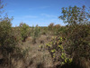Ma-Cabane - Vente Terrain LA LIVINIERE, 0 m²