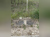 Ma-Cabane - Vente Terrain La Neuville-Au-Pont, 1206 m²