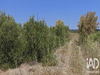 Ma-Cabane - Vente Terrain La Palme, 3315 m²