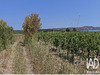 Ma-Cabane - Vente Terrain La Palme, 3315 m²