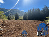 Ma-Cabane - Vente Terrain La Plaine-des-Palmistes, 1519 m²