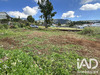 Ma-Cabane - Vente Terrain La Plaine-des-Palmistes, 899 m²