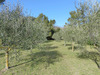 Ma-Cabane - Vente Terrain La Roquebrussanne, 1783 m²