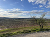 Ma-Cabane - Vente Terrain LA ROUVIERE, 0 m²