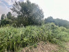 Ma-Cabane - Vente Terrain La Tranche-sur-Mer, 877 m²