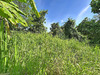 Ma-Cabane - Vente Terrain La Trinite, 1075 m²