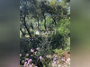 Ma-Cabane - Vente Terrain La Valette-du-Var, 946 m²