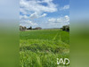 Ma-Cabane - Vente Terrain Lafitte-Vigordane, 7055 m²