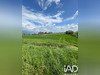 Ma-Cabane - Vente Terrain Lafitte-Vigordane, 7055 m²