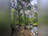 Ma-Cabane - Vente Terrain Landes-le-Gaulois, 7318 m²