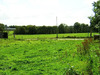 Ma-Cabane - Vente Terrain LANGOELAN, 906 m²