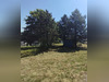 Ma-Cabane - Vente Terrain Langon, 250 m²