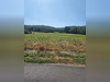 Ma-Cabane - Vente Terrain LANZAC, 1975 m²