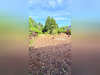 Ma-Cabane - Vente Terrain Lapugnoy, 1094 m²