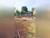 Ma-Cabane - Vente Terrain Lapugnoy, 1094 m²