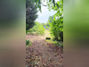 Ma-Cabane - Vente Terrain Lapugnoy, 1094 m²