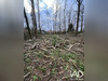 Ma-Cabane - Vente Terrain Larchant, 1026 m²