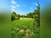 Ma-Cabane - Vente Terrain Larre, 2200 m²