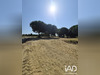 Ma-Cabane - Vente Terrain Latour-Bas-Elne, 467 m²