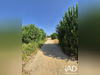 Ma-Cabane - Vente Terrain Latour-Bas-Elne, 343 m²
