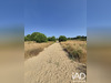 Ma-Cabane - Vente Terrain Latour-Bas-Elne, 190 m²