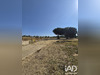 Ma-Cabane - Vente Terrain Latour-Bas-Elne, 292 m²
