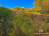 Ma-Cabane - Vente Terrain Lattes, 355 m²