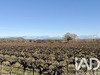 Ma-Cabane - Vente Terrain Laudun-l'Ardoise, 9227 m²