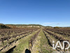 Ma-Cabane - Vente Terrain Laudun-l'Ardoise, 9227 m²