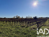 Ma-Cabane - Vente Terrain Laudun-l'Ardoise, 9227 m²