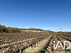 Ma-Cabane - Vente Terrain Laudun-l'Ardoise, 9763 m²
