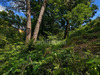 Ma-Cabane - Vente Terrain LAURIS, 3060 m²