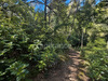 Ma-Cabane - Vente Terrain LAURIS, 3060 m²