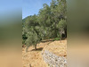 Ma-Cabane - Vente Terrain Le Bar-sur-Loup, 1755 m²