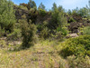 Ma-Cabane - Vente Terrain LE BEAUSSET, 7720 m²