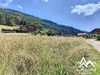Ma-Cabane - Vente Terrain Le Biot, 374 m²
