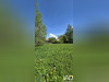 Ma-Cabane - Vente Terrain Le Bourg-d'Oisans, 1477 m²
