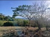 Ma-Cabane - Vente Terrain Le Carbet, 1738 m²