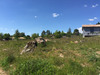 Ma-Cabane - Vente Terrain LE CAYLAR, 2354 m²