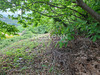 Ma-Cabane - Vente Terrain LE COLLET-DE-DEZE, 1010 m²