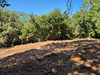 Ma-Cabane - Vente Terrain LE COLLET DE DEZE, 9403 m²
