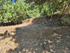 Ma-Cabane - Vente Terrain LE COLLET DE DEZE, 9403 m²