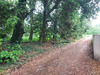 Ma-Cabane - Vente Terrain LE GRAND-VILLAGE-PLAGE, 900 m²