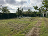 Ma-Cabane - Vente Terrain LE GRAND VILLAGE PLAGE, 441 m²