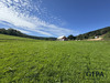 Ma-Cabane - Vente Terrain Le Hohwald, 877 m²
