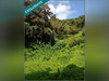 Ma-Cabane - Vente Terrain Le Lamentin, 3030 m²