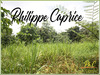 Ma-Cabane - Vente Terrain LE MARIN, 1015 m²