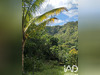 Ma-Cabane - Vente Terrain Le Morne-Vert, 1100 m²