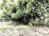 Ma-Cabane - Vente Terrain Le Morne-Vert, 1100 m²