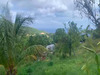 Ma-Cabane - Vente Terrain LE MORNE VERT, 1494 m²